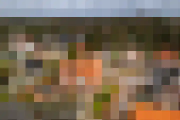 Scholtenshoek 4 Twello thumbnail 33