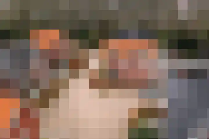 Scholtenshoek 4 Twello thumbnail 34