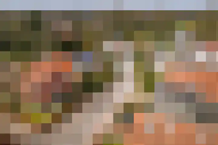 Scholtenshoek 4 Twello thumbnail 35