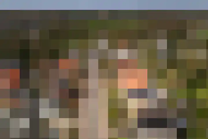 Scholtenshoek 4 Twello thumbnail 36