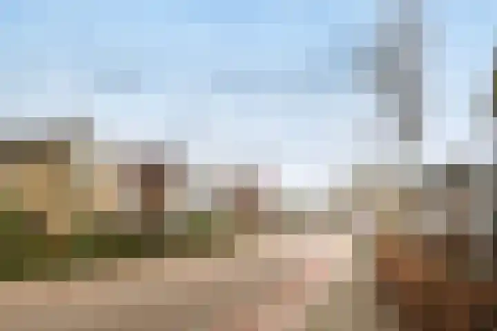 Scholtenshoek 4 Twello thumbnail 37
