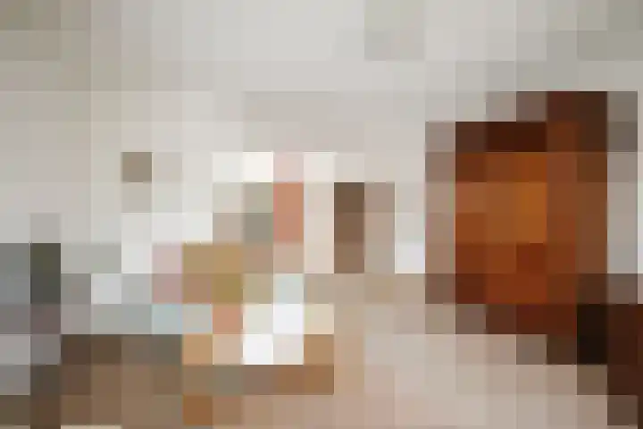 Scholtenshoek 4 Twello thumbnail 8