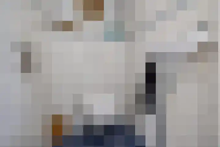 Scholtenskanaal OZ 101 Klazienaveen-Noord thumbnail 15