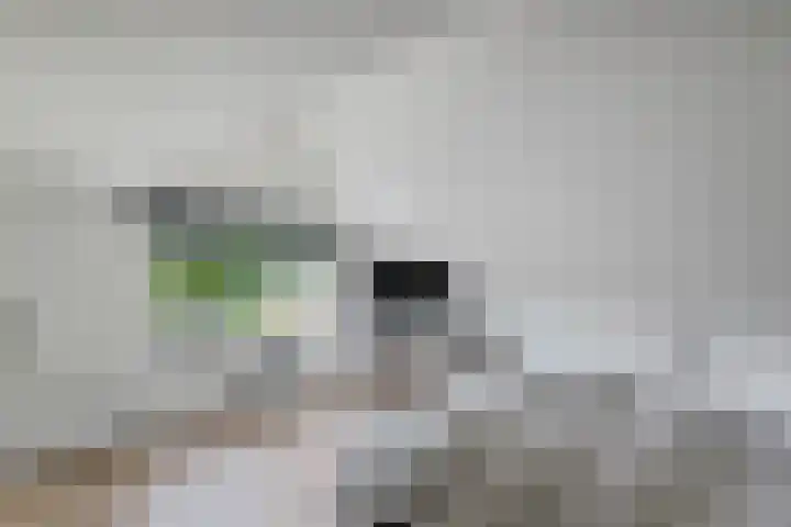 Scholtenskanaal OZ 101 Klazienaveen-Noord thumbnail 20