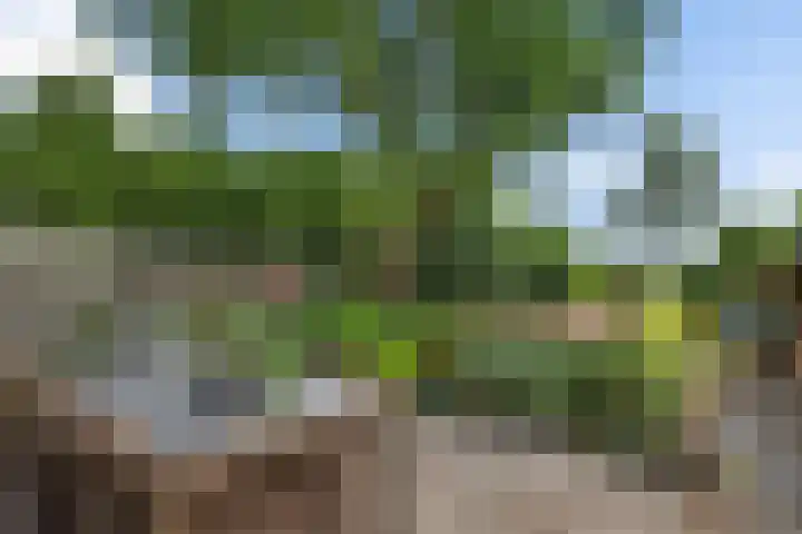 Scholtenskanaal OZ 101 Klazienaveen-Noord thumbnail 27