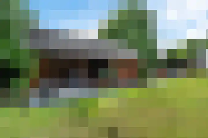 Scholtenskanaal OZ 101 Klazienaveen-Noord thumbnail 29