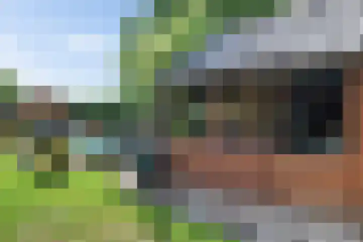 Scholtenskanaal OZ 101 Klazienaveen-Noord thumbnail 30