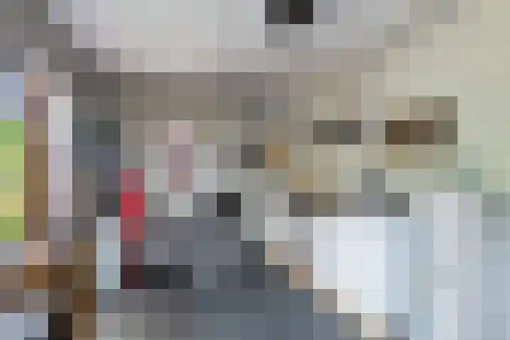 Scholtenskanaal OZ 101 Klazienaveen-Noord thumbnail 32
