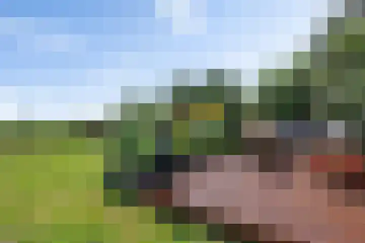 Scholtenskanaal OZ 101 Klazienaveen-Noord thumbnail 36