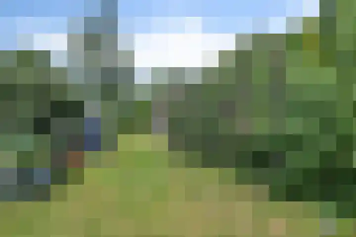 Scholtenskanaal OZ 101 Klazienaveen-Noord thumbnail 37