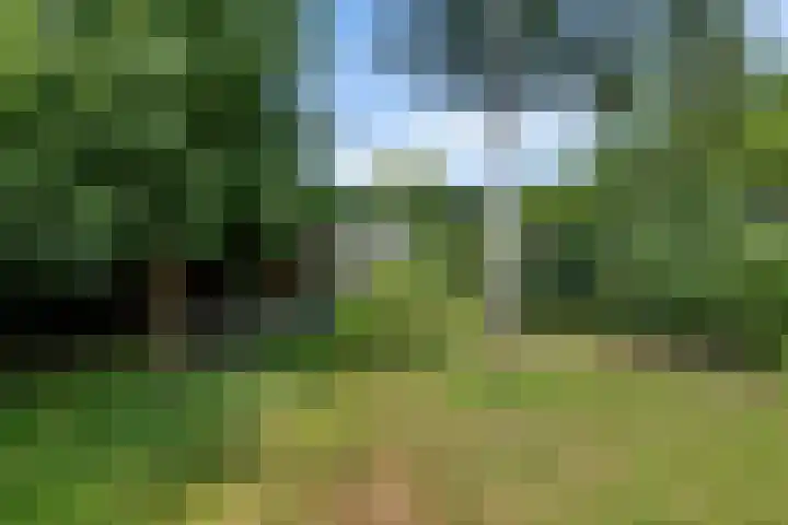Scholtenskanaal OZ 101 Klazienaveen-Noord thumbnail 38
