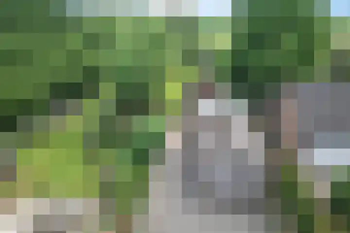 Scholtenskanaal OZ 101 Klazienaveen-Noord thumbnail 39