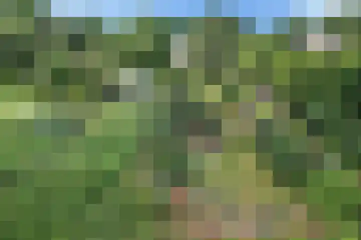 Scholtenskanaal OZ 101 Klazienaveen-Noord thumbnail 40