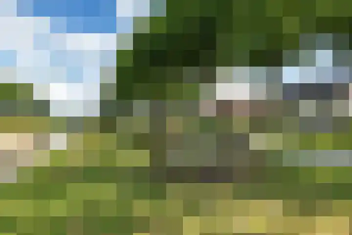 Scholtenskanaal OZ 101 Klazienaveen-Noord thumbnail 41