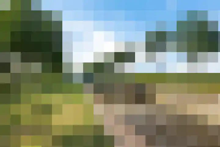 Scholtenskanaal OZ 101 Klazienaveen-Noord thumbnail 42