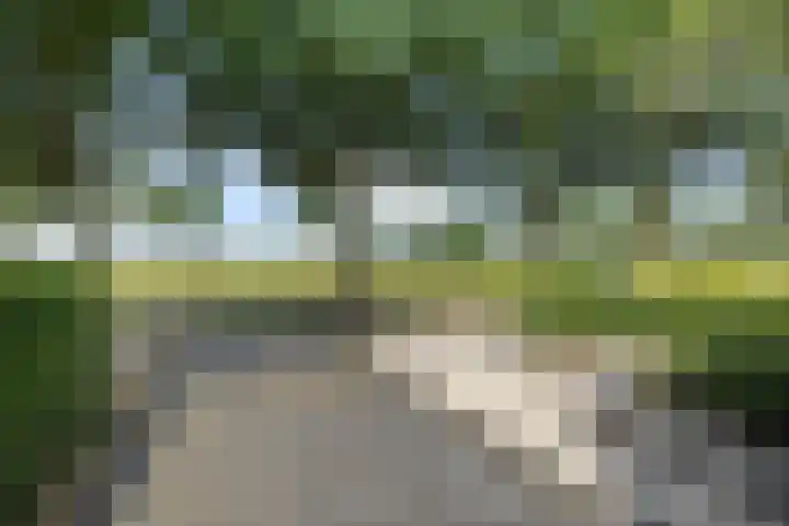 Scholtenskanaal OZ 101 Klazienaveen-Noord thumbnail 43