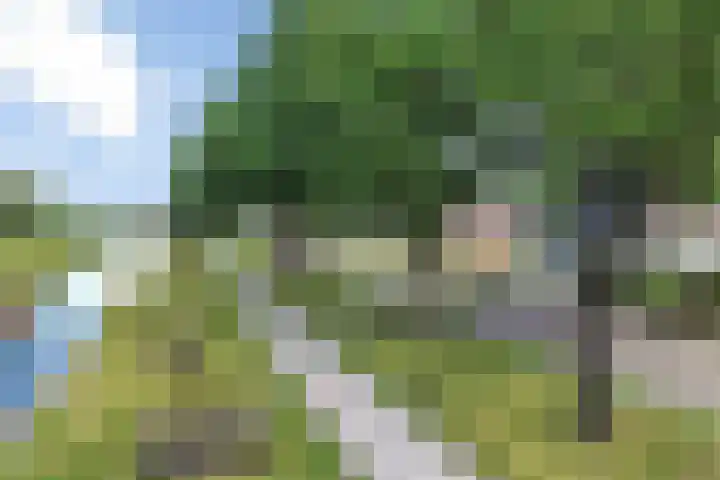 Scholtenskanaal OZ 101 Klazienaveen-Noord thumbnail 44