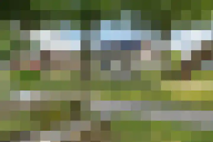 Scholtenskanaal OZ 101 Klazienaveen-Noord thumbnail 46
