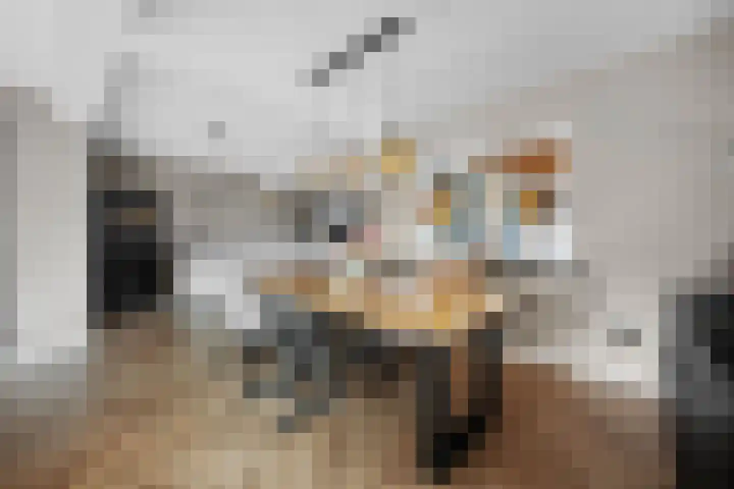 Scholtenskanaal OZ 18 Klazienaveen-Noord thumbnail 13