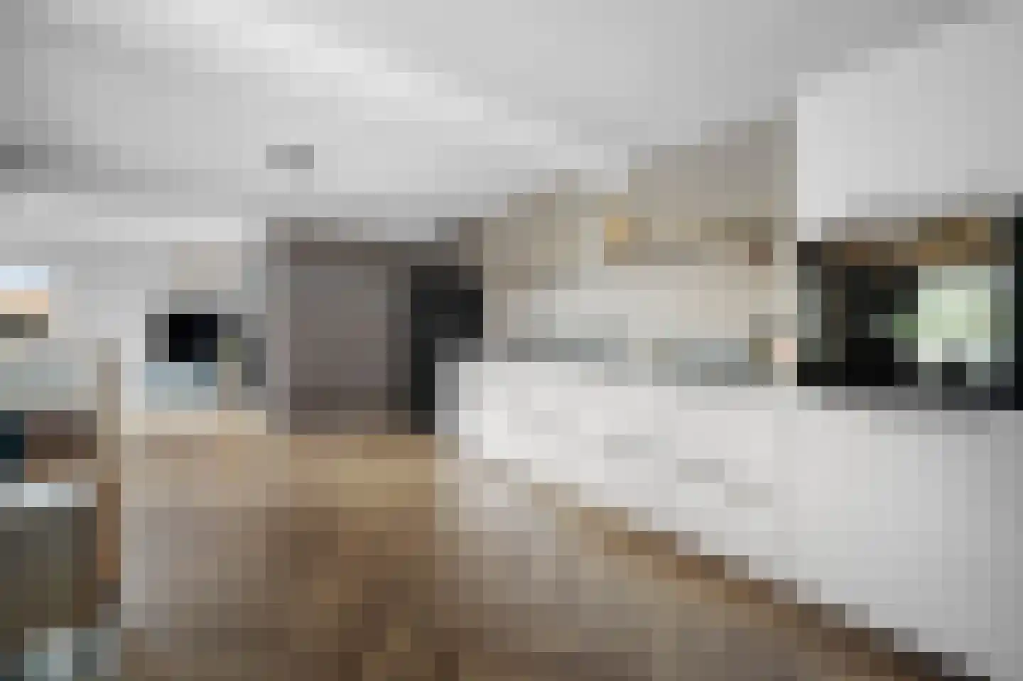 Scholtenskanaal OZ 18 Klazienaveen-Noord thumbnail 15
