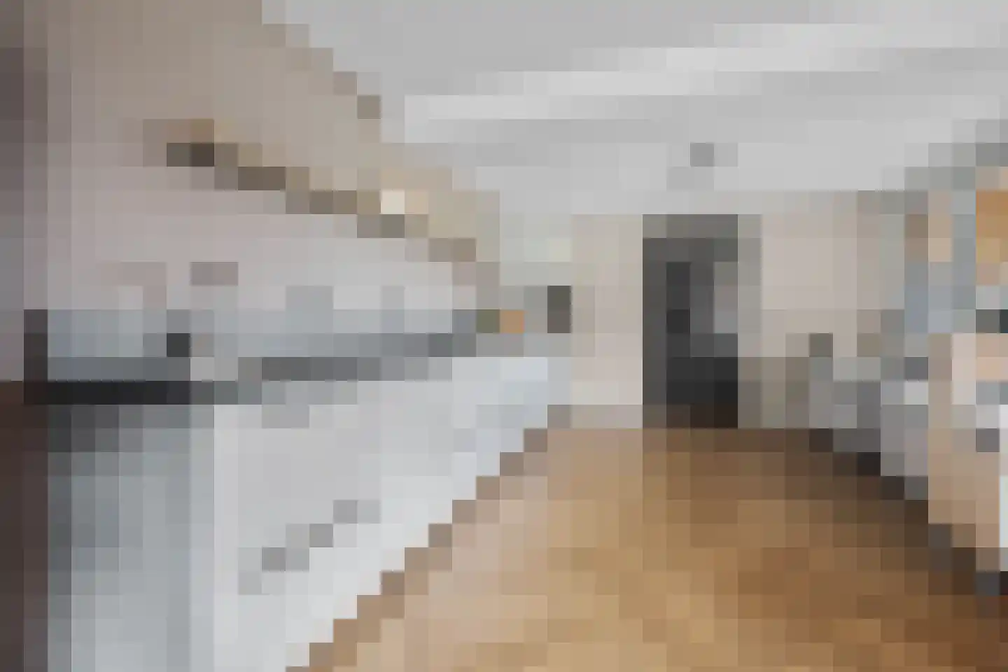 Scholtenskanaal OZ 18 Klazienaveen-Noord thumbnail 18