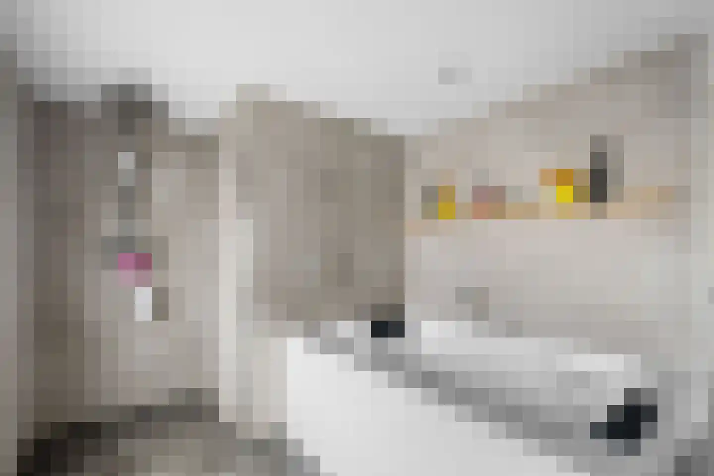 Scholtenskanaal OZ 18 Klazienaveen-Noord thumbnail 32