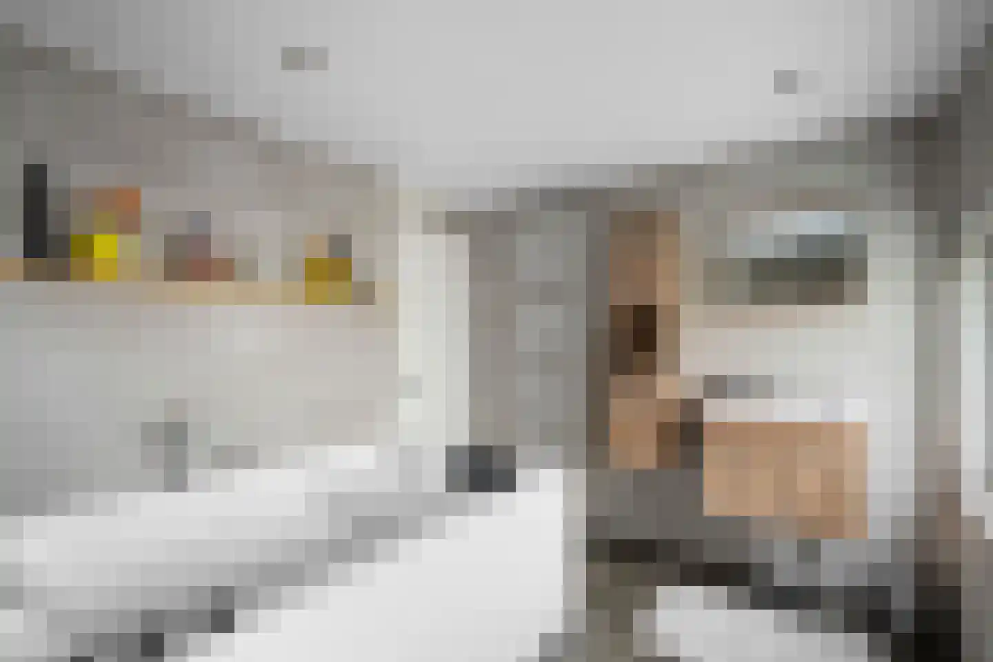 Scholtenskanaal OZ 18 Klazienaveen-Noord thumbnail 33