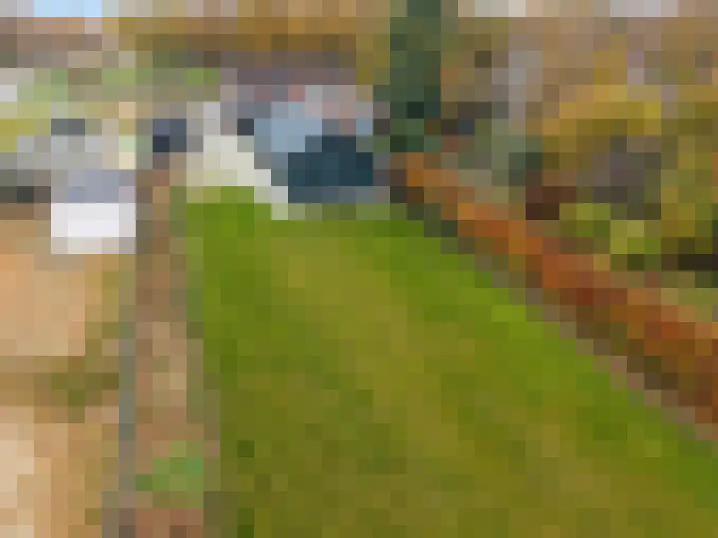 Scholtenskanaal OZ 18 Klazienaveen-Noord thumbnail 35