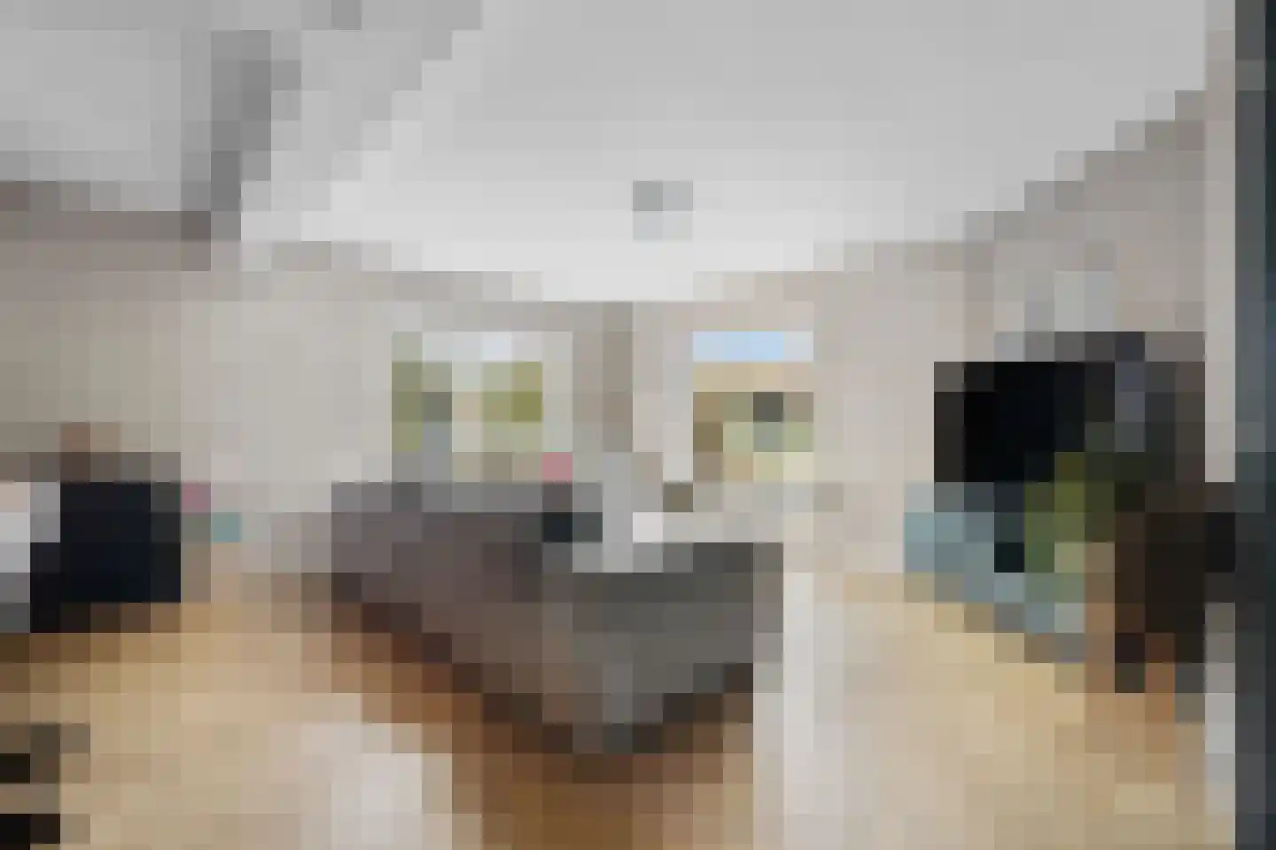 Scholtenskanaal OZ 18 Klazienaveen-Noord thumbnail 7