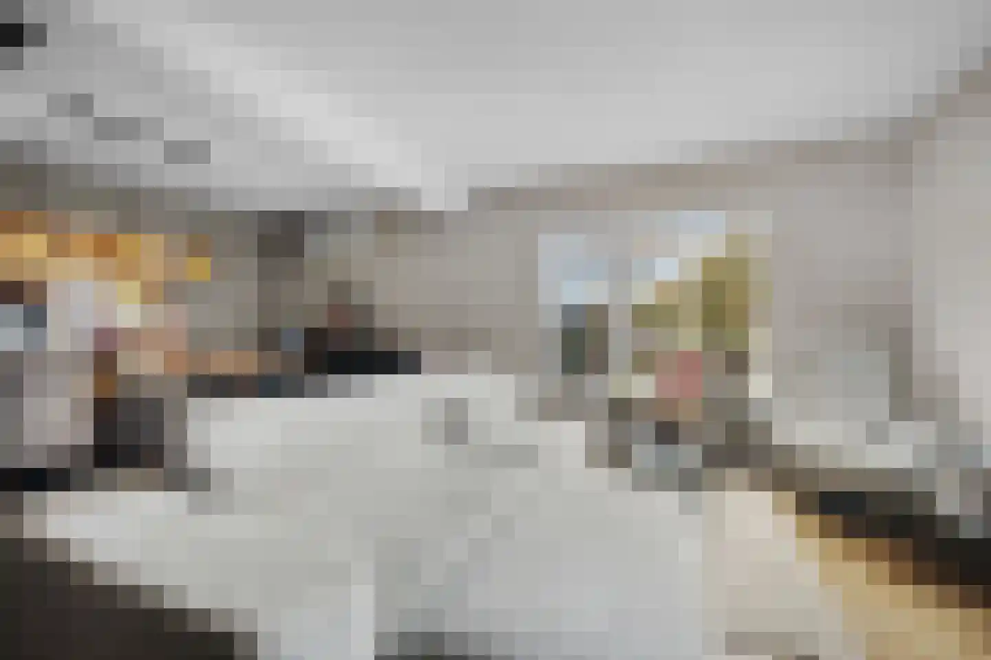 Scholtenskanaal OZ 18 Klazienaveen-Noord thumbnail 9