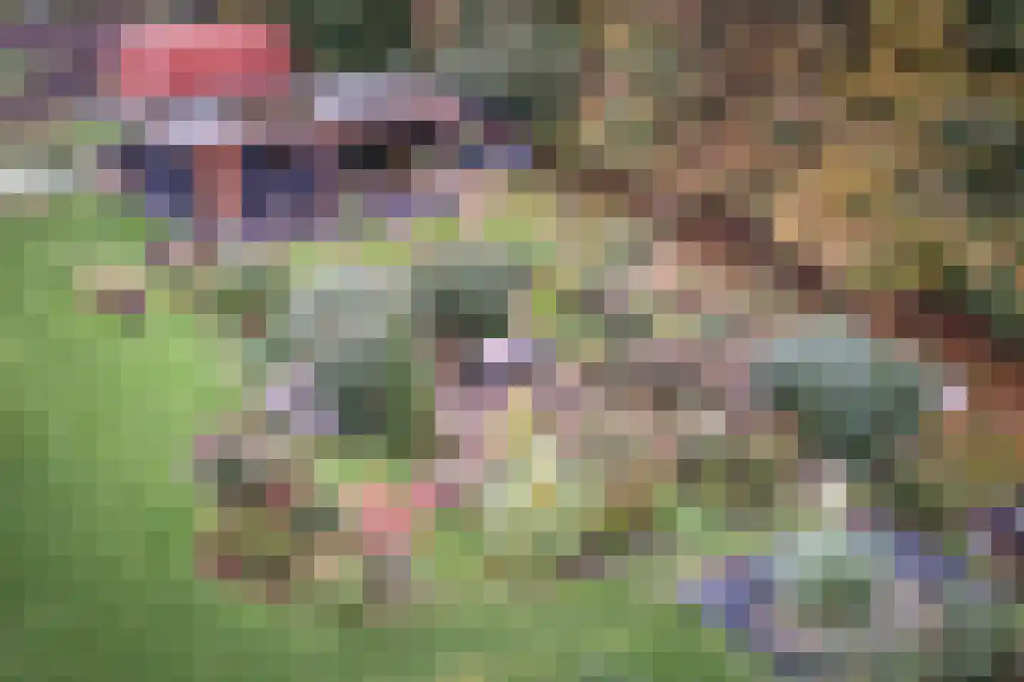 Scholtenskanaal OZ 51 B Klazienaveen-Noord thumbnail 4