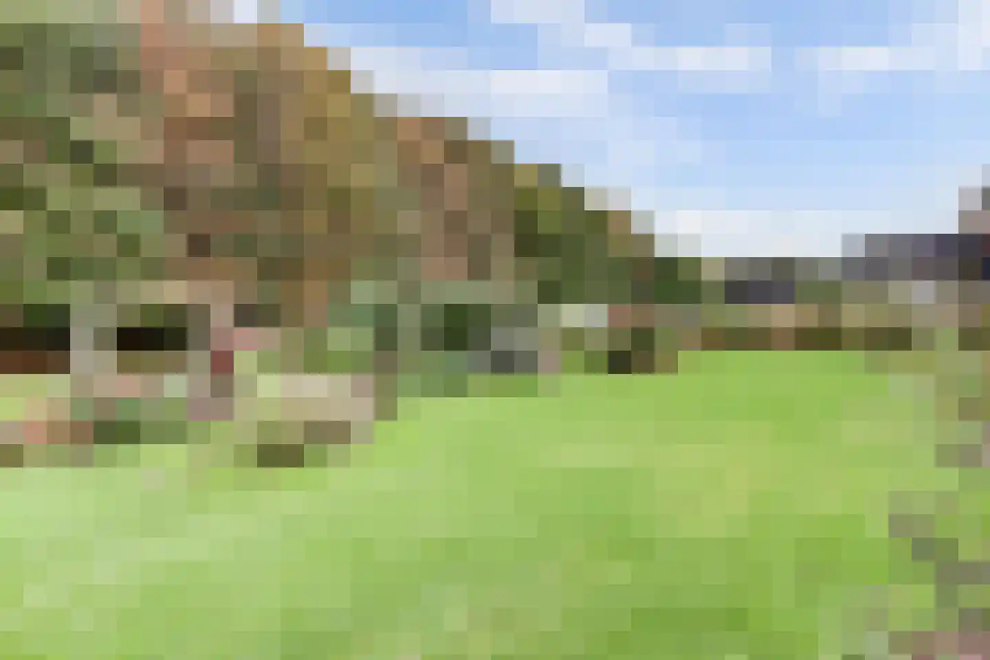 Scholtenskanaal OZ 51 B Klazienaveen-Noord thumbnail 44