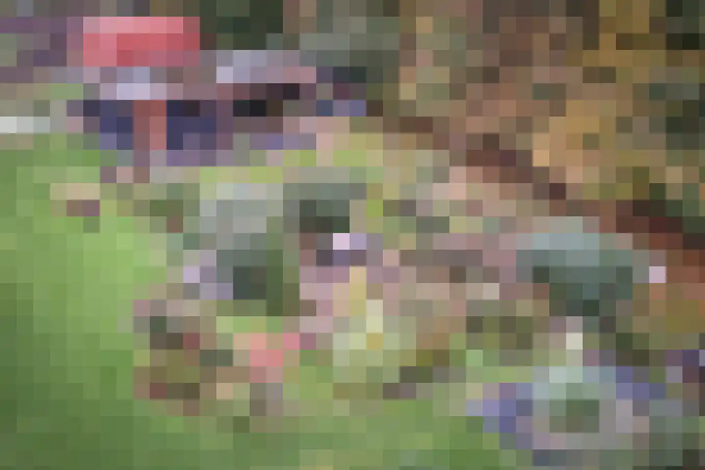 Scholtenskanaal OZ 51 B Klazienaveen-Noord thumbnail 46