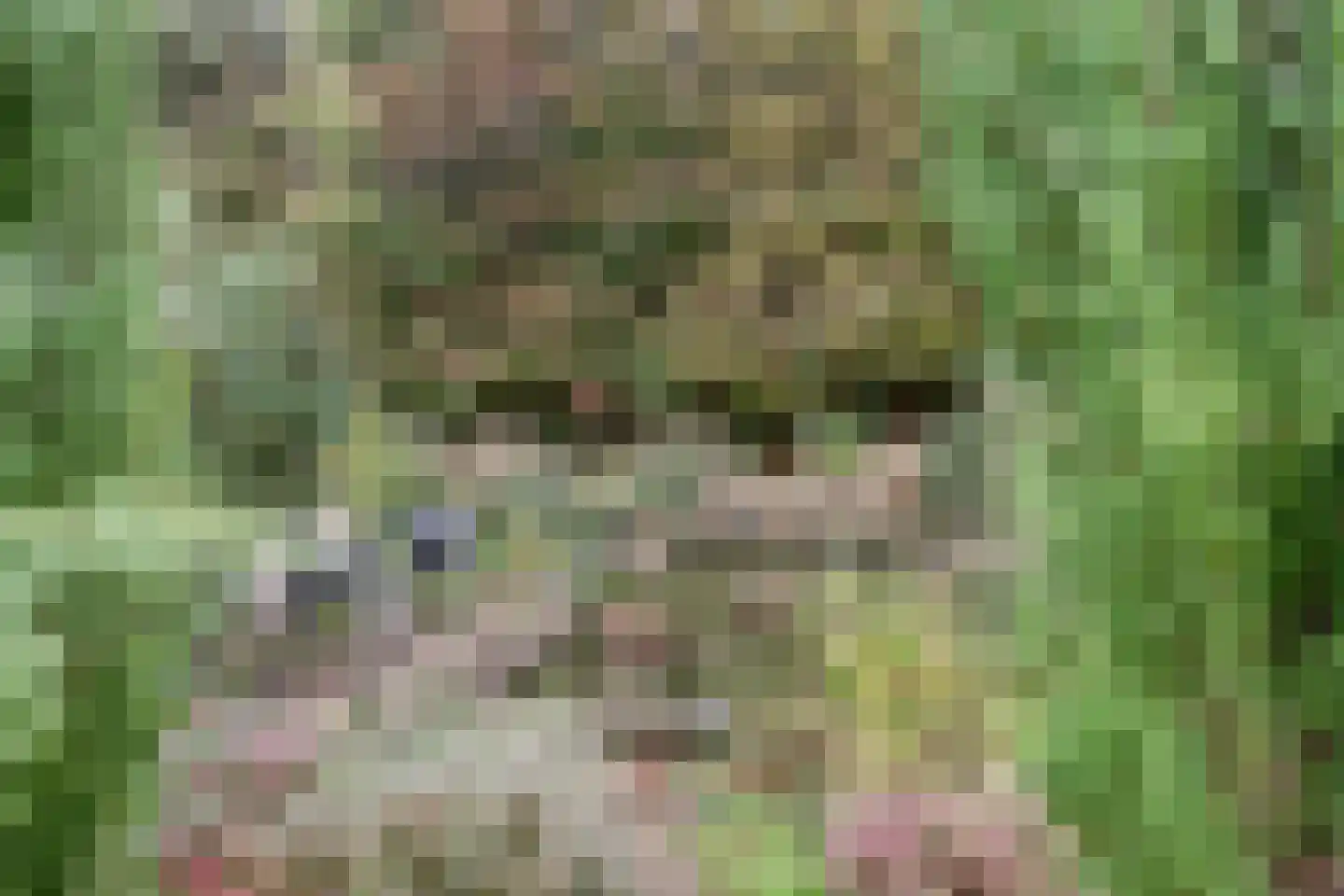 Scholtenskanaal OZ 51 B Klazienaveen-Noord thumbnail 48