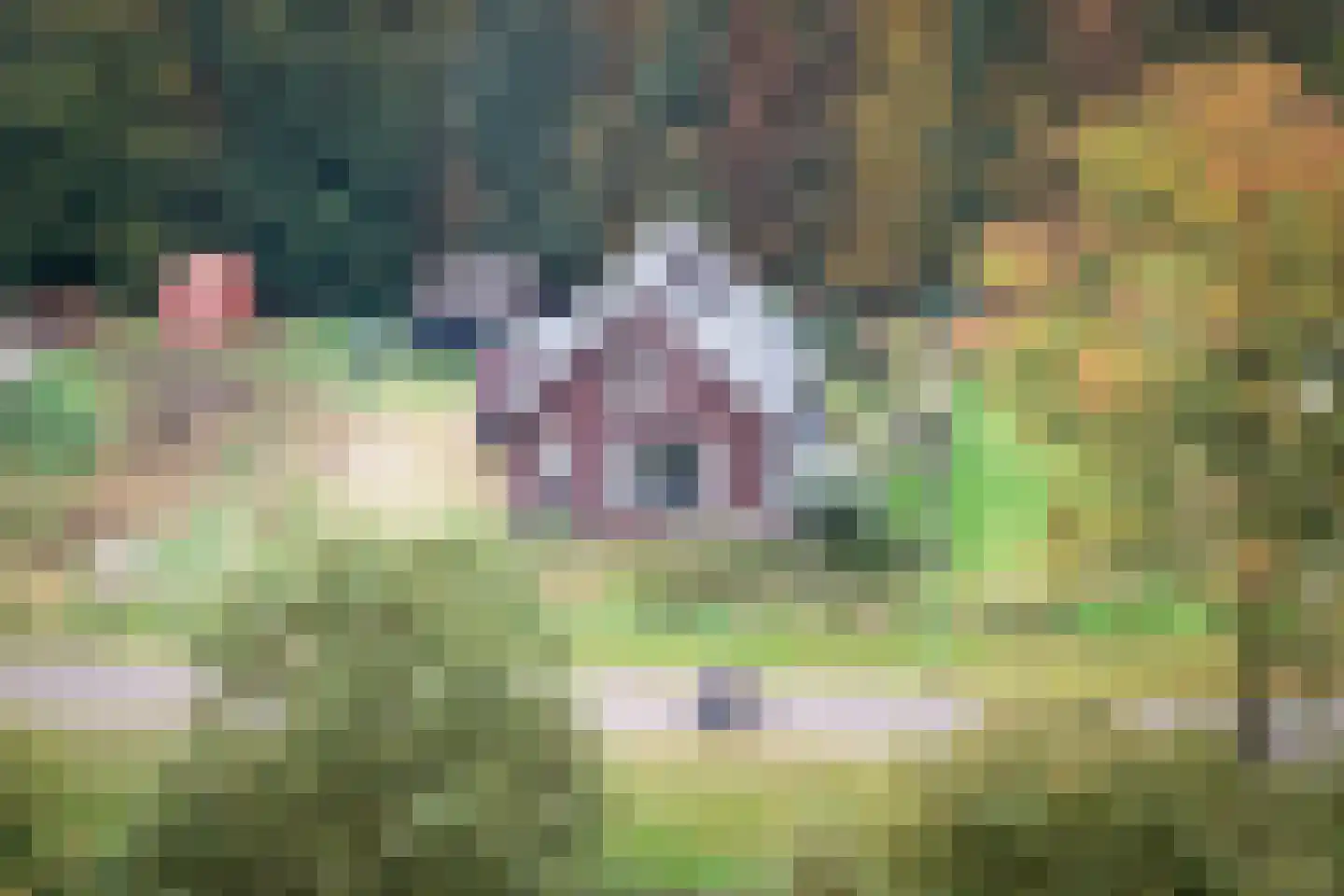 Scholtenskanaal OZ 51 B Klazienaveen-Noord thumbnail 58