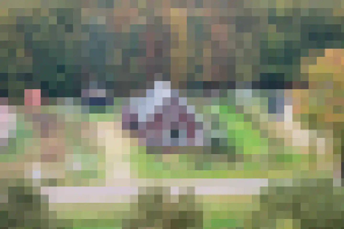 Scholtenskanaal OZ 51 B Klazienaveen-Noord thumbnail 59