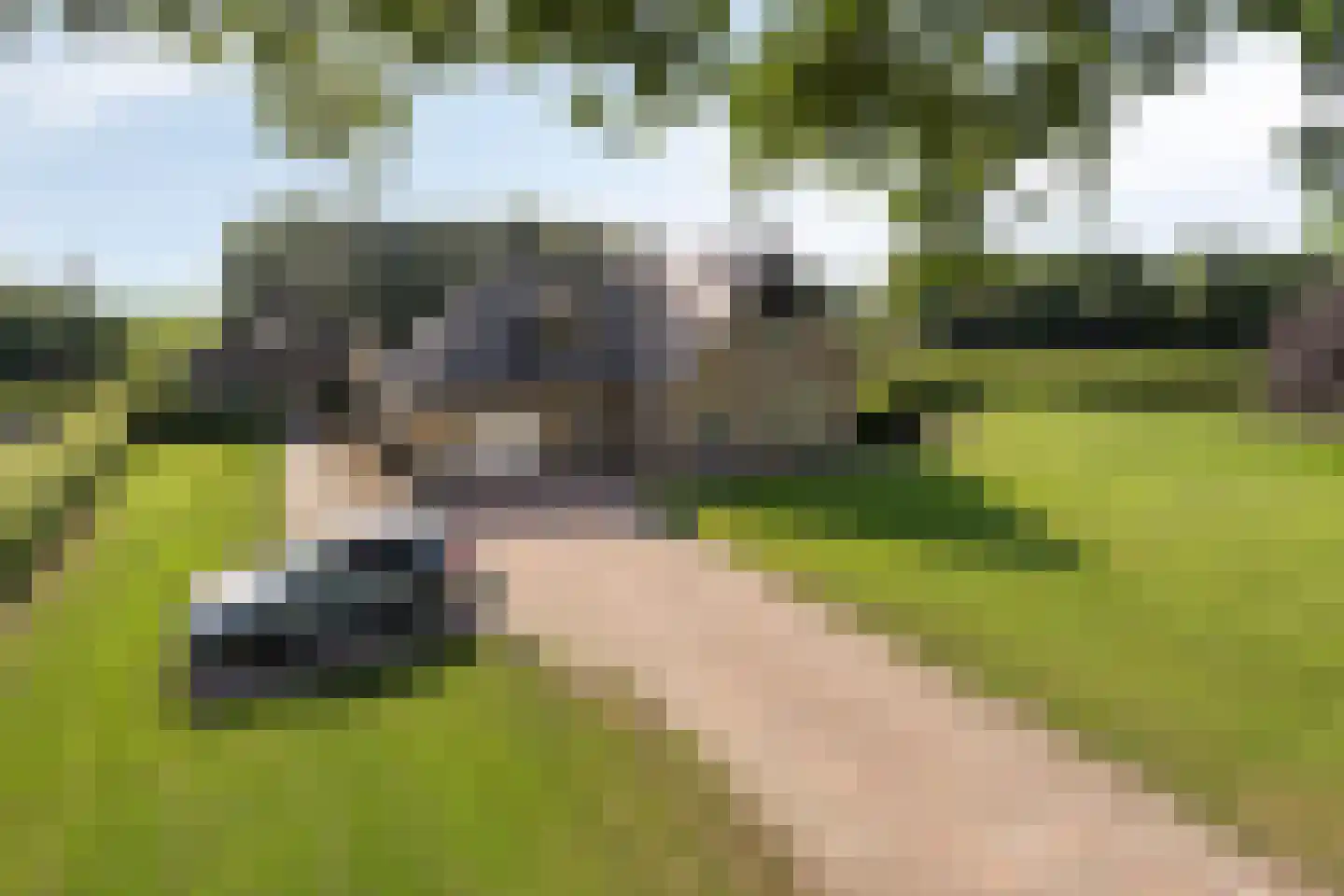 Scholtenskanaal OZ 91 Klazienaveen-Noord thumbnail 13