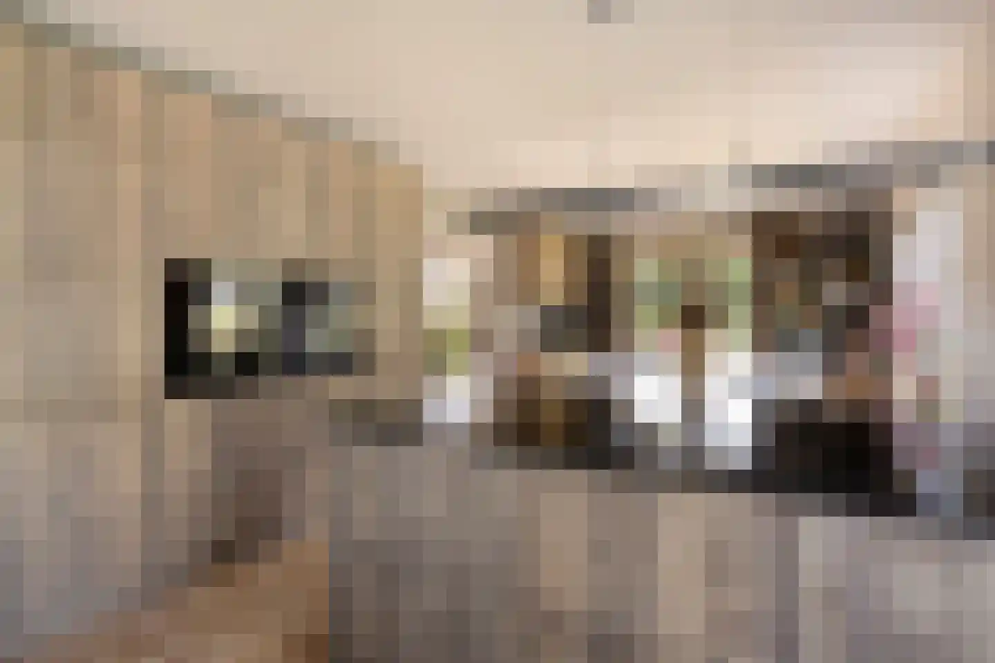 Scholtenskanaal OZ 91 Klazienaveen-Noord thumbnail 5