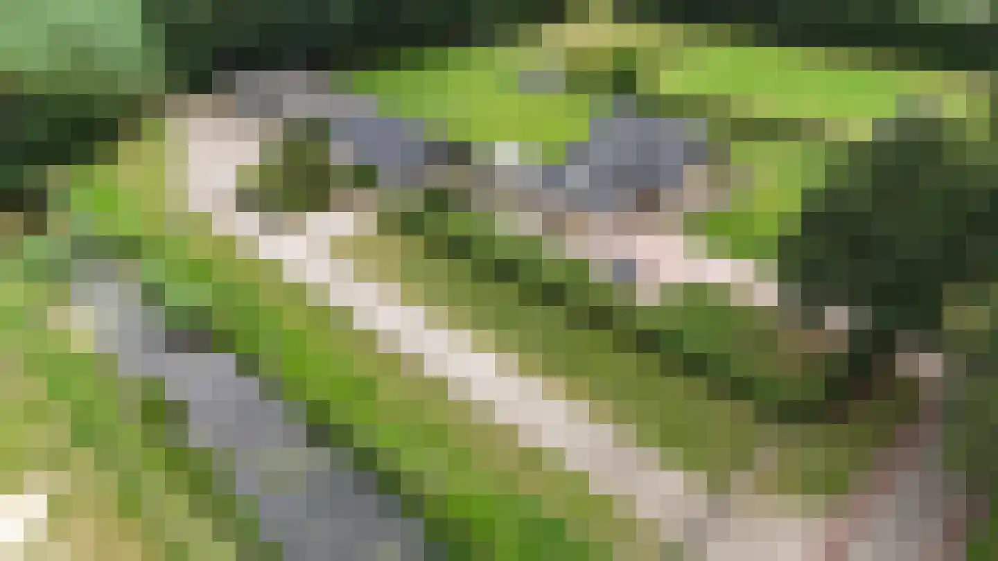 Scholtenskanaal OZ 91 Klazienaveen-Noord thumbnail 78