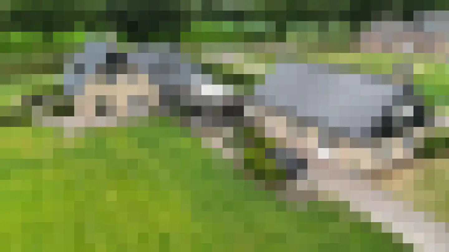 Scholtenskanaal OZ 91 Klazienaveen-Noord thumbnail 81