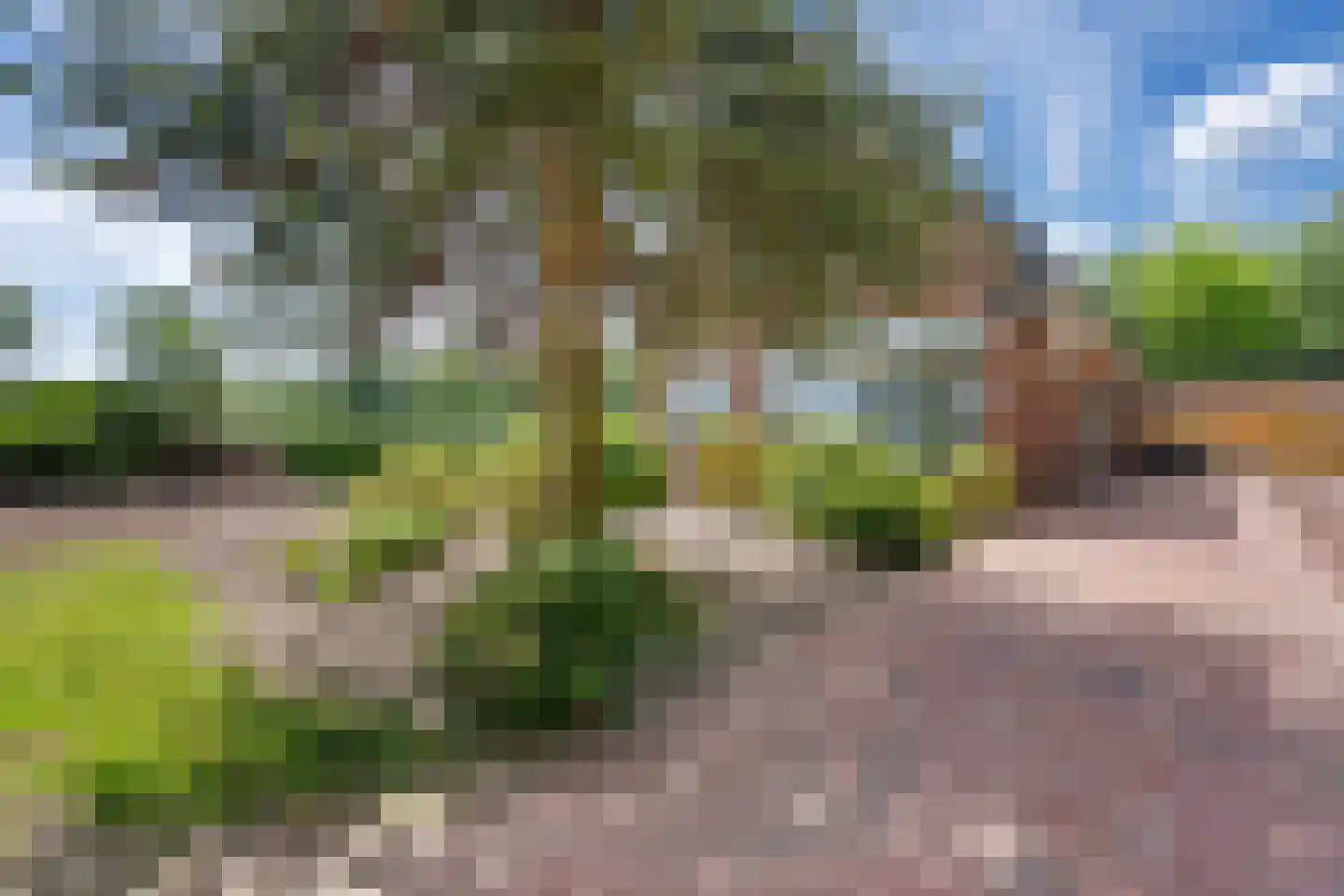 Scholtenskanaal WZ 2 Klazienaveen-Noord thumbnail 44