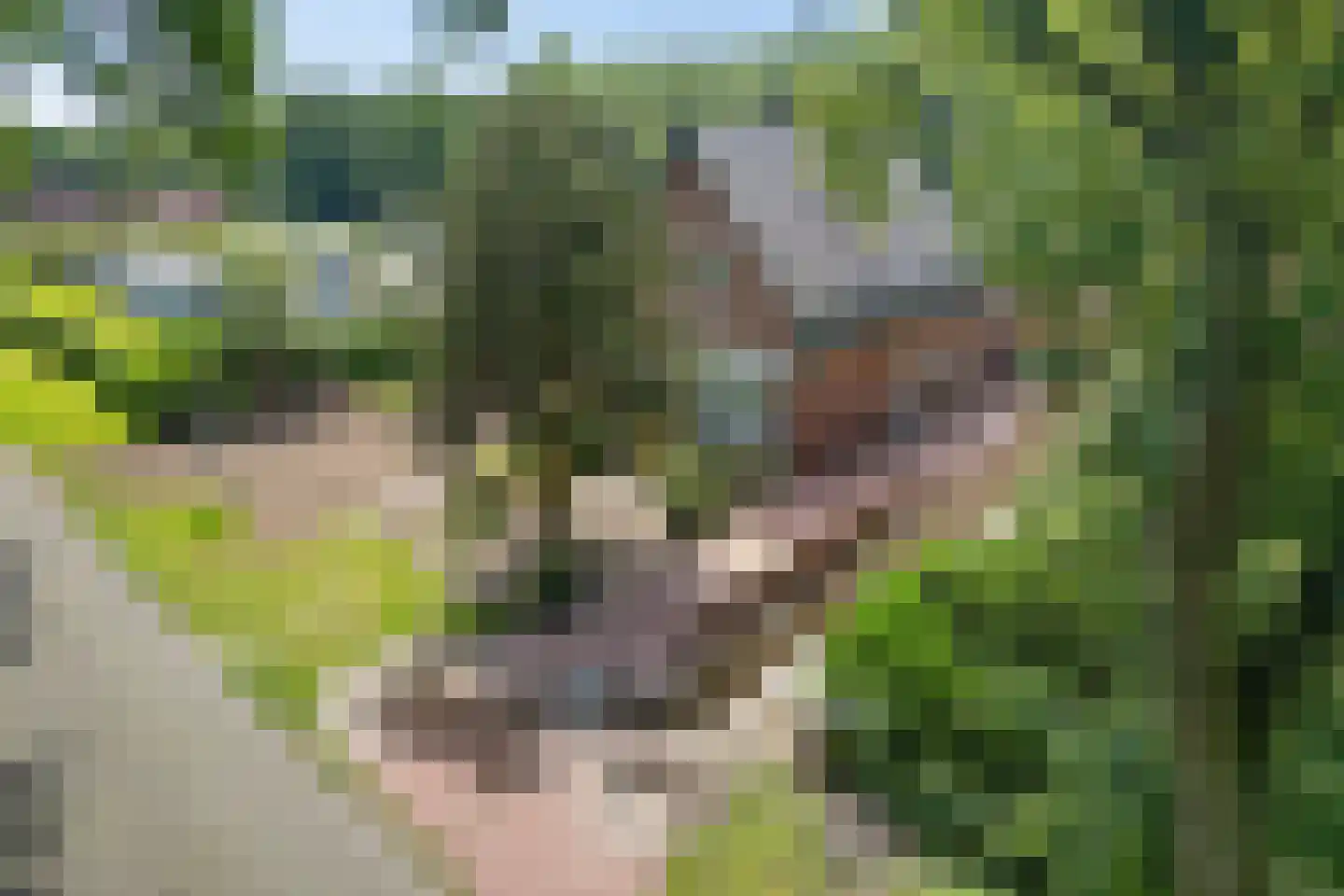 Scholtenskanaal WZ 2 Klazienaveen-Noord thumbnail 46