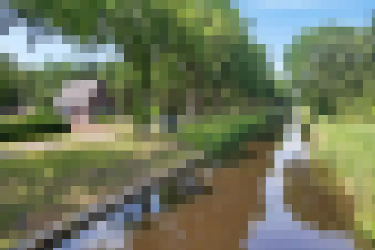 Scholtenskanaal WZ 2 Klazienaveen-Noord thumbnail 51