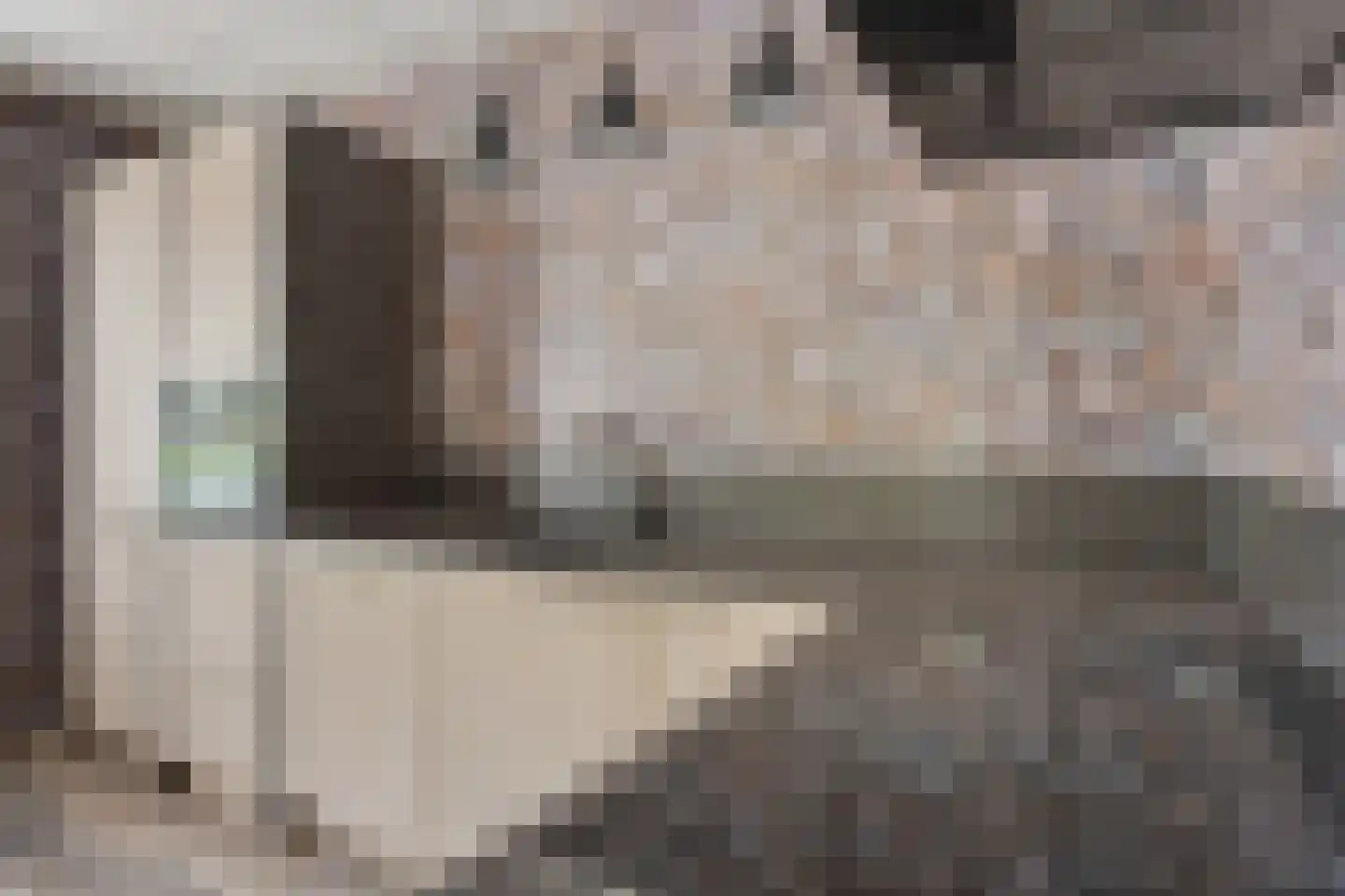 Scholtenskanaal WZ 2 Klazienaveen-Noord thumbnail 6