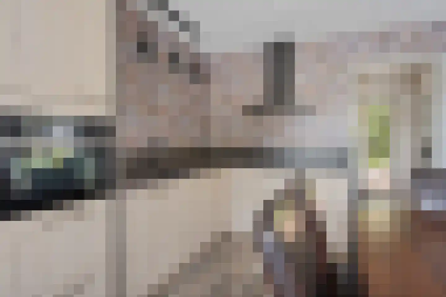 Scholtenskanaal WZ 2 Klazienaveen-Noord thumbnail 7