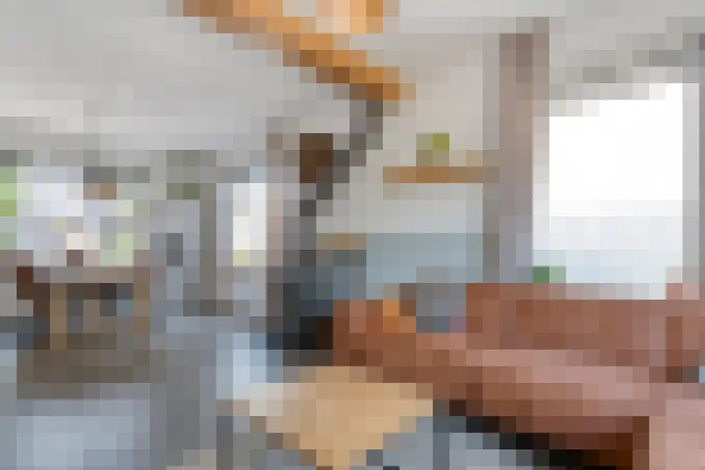 Scholtensstraat 14 Nieuw Heeten thumbnail 14