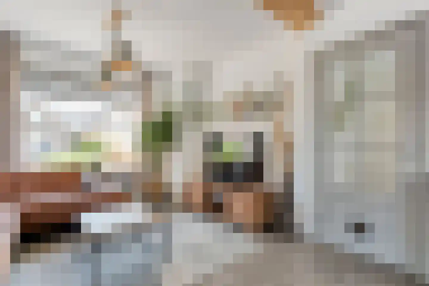 Scholtensstraat 14 Nieuw Heeten thumbnail 16