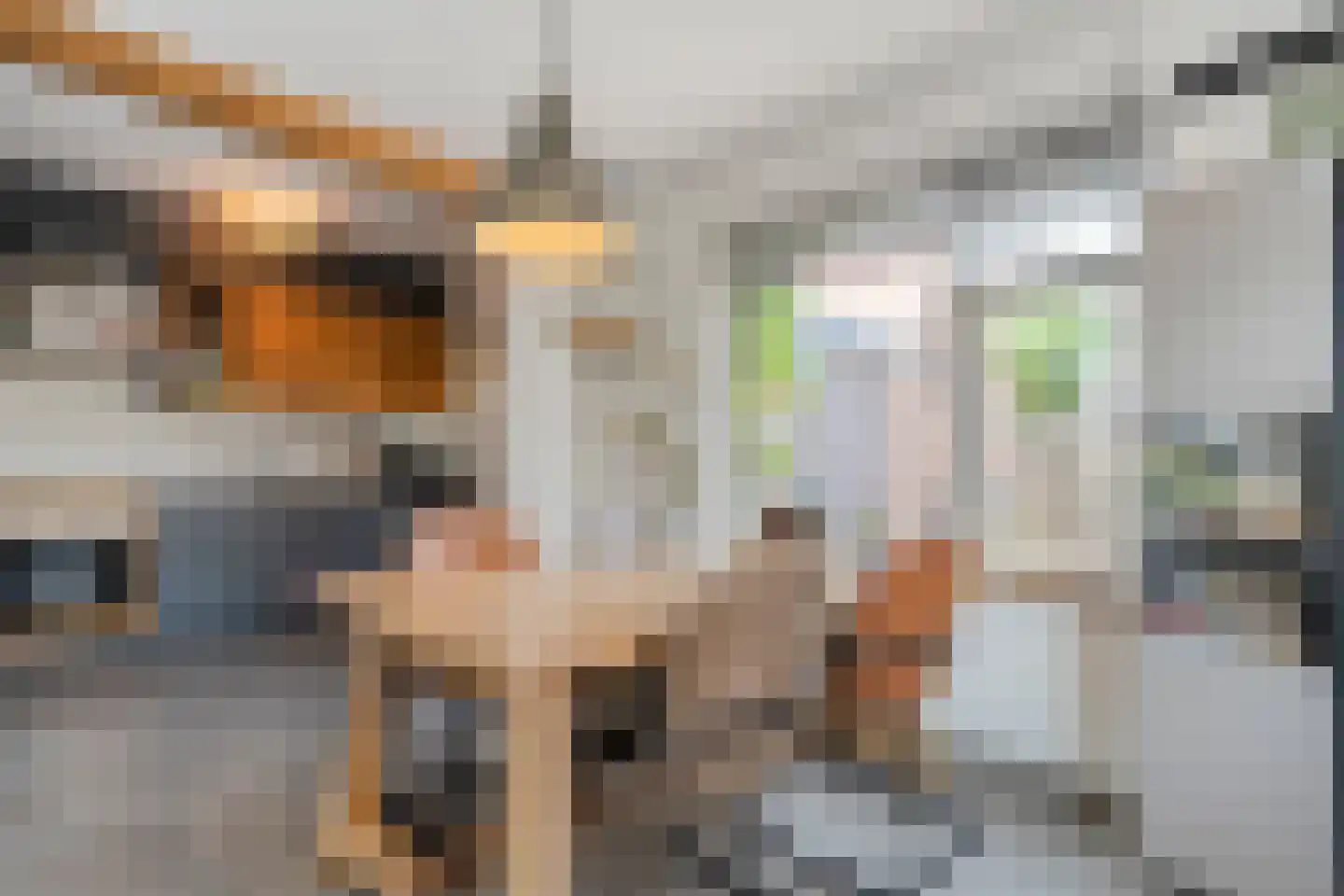 Scholtensstraat 14 Nieuw Heeten thumbnail 18