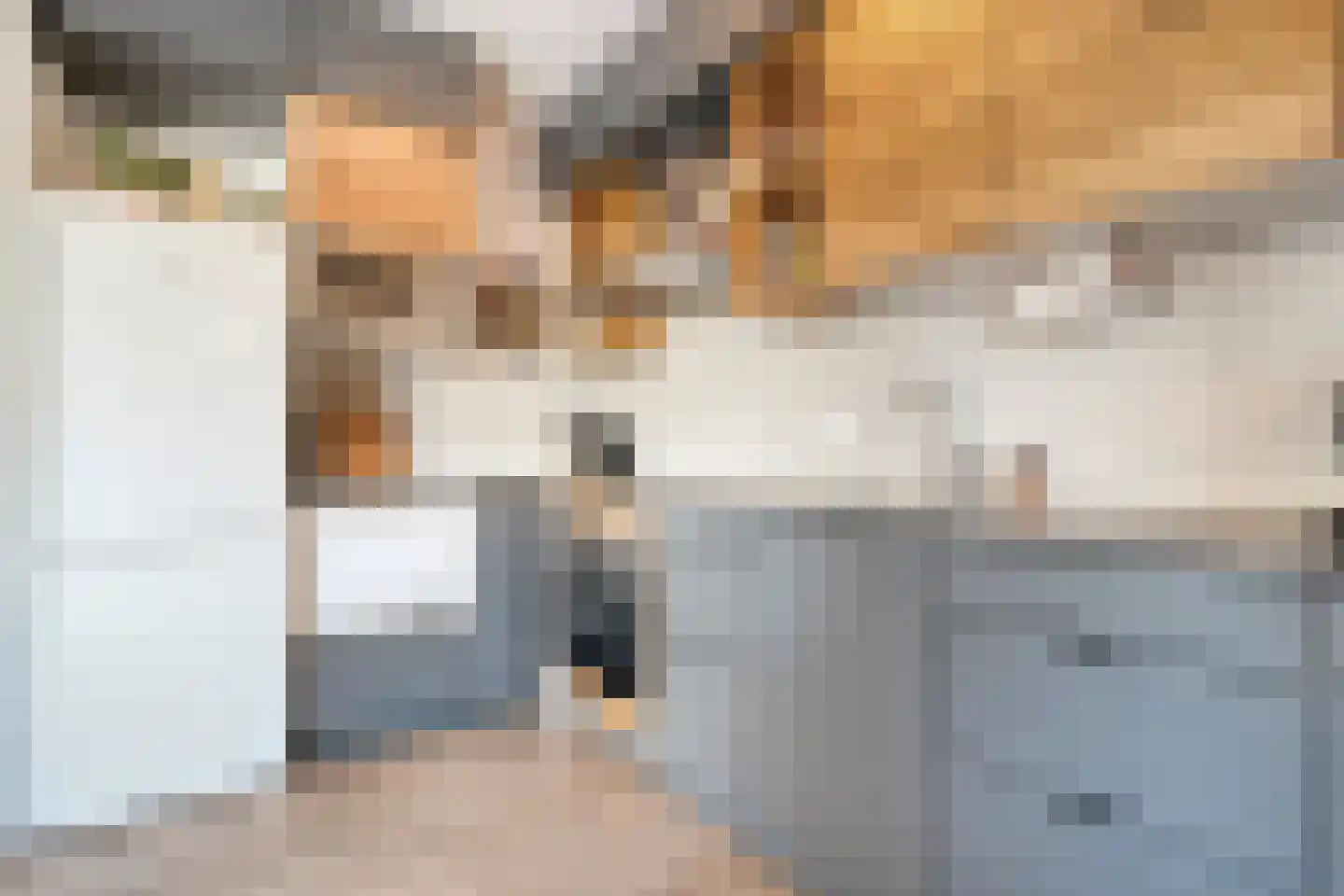 Scholtensstraat 14 Nieuw Heeten thumbnail 21