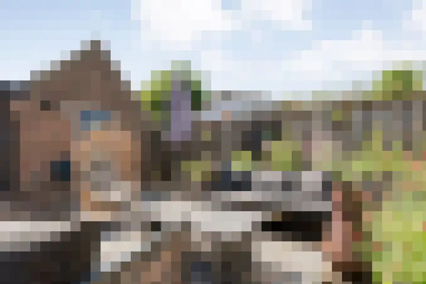 Scholtensstraat 14 Nieuw Heeten thumbnail 39
